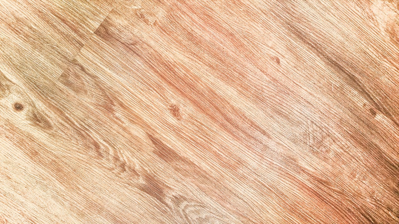 pexels-digitalbuggu-230776